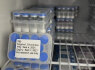 High quality peptides, factory price, safe and fast delivery