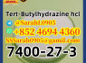 CAS 7400 - 27 - 3 Tert - Butylhydrazine Hydrochloride Pesticide