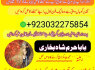 lahore amil baba in karachi amil baba in islamabad faisalabad
