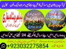 lahore amil baba in karachi amil baba in islamabad faisalabad (3)