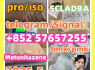 109555 - 87 - 5 5CLADBA Eutylone 802855 - 66 - 9 407 - 97 - 6
