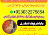 karachi 1 kala jadu in rawalpindi amil baba in canada top rankeduk black magician in dubai london (9)