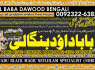 A1 Amil Baba Tantrik Pandit Hindu Astrologer Love Problem Amil Baba Divorce Problem Sloution