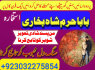 sialkot real amil baba in lahore every problem solution black magic specialist no1 amil baba in uk (4)