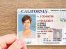 Id Passport License Visa Diploma Certificates