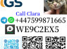 Procaine Base CAS 59 - 46 - 1