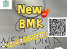 Premium New BMK Glycidic Acid sodium salt Factory Direct Global Supply
