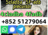 5cladba adbb bmk pmk eutylone percursor 4fadb 6cl best price (4)