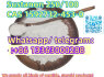 Sustanon 250100 CAS 1592732 - 453 - 0