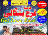 karachi Famous amil baba in Pakistan authentic kala jadu peer hindu baba in canada love problem