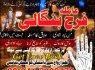 karachi Famous amil baba in Pakistan authentic kala jadu peer hindu baba in canada love problem