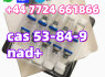 China Factory 99 Purity Nad Powder 500mg 1000mg Vials Nad Powder Cas 53 - 84 - 9 Wholesale China