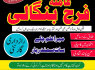 Amil baba in USA amil baba in Pakistan love marriage and black magic speciaist najoomi in Lahore