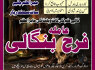 Amil baba in USA amil baba in Pakistan love marriage and black magic speciaist najoomi in Lahore
