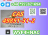 2 - Bromovalerophenon CAS 49851 - 31 - 2 Proven Export Record to European Markets (1)