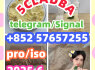 109555 - 87 - 5 5CLADBA Eutylone 802855 - 66 - 9 407 - 97 - 6