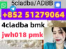 5cladba adbb percursor bmk jwh018 2fdck 4cladba (3)