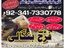 manpasand shadi ka wazifa kala jadu expert in lahore amil baba in rawapindi talaq ka taweez online