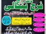 asli amil baba in karachi divorce problem solution Love Marriage Specialist In pakistan Uk USA