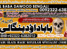 A4 Amil Baba Online Istkhara Uk, UAE, USA Astrologer Love Marriage Islamabad