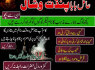Amil Baba Black magic Expert 923103166444 Canada London (2)