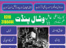 No 1 Amil baba Black magic expert Astrology in Canada (2)