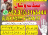 Business Rukawat Amil baba in kala jadu expert 923103166444