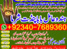 Z3 Amil Baba Online Istkhara Uk, UAE, USA Astrologer Love Marriage Islamabad