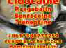 Lidocaine Tianeptine pregabalin raw Powder 137 - 58 - 6 Hot Sale