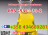 Top Quality cas 49851 - 31 - 2 2 - Bromo - 1 - Phenyl - Pentan - 1 - One RU warehouse