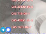 BMK Oil CAS 20320 - 59 - 6 CAS 718 - 08 - 1