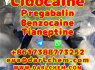 Lidocaine Tianeptine pregabalin raw Powder 137 - 58 - 6 Hot Sale (2)