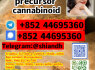 5CL - ADBA precursor 5cladba adbb 5CLADBA 5CL - ADBA