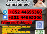 5cladba 5CL - ADB - A 5CLADB cannabinoids 5cladba adbb 5cl - adba