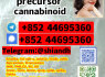 5CLADBA cannabinoid powder 5CL - ADBB 5cl 5cladba ADBB with good service