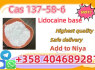 Lidocaine powder hot sell in Uk Holland CAS 137 - 58 - 6