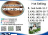 NEW BMK PMK CAS 5449 - 12 - 7 28578 - 16 - 7 49851 - 31 - 2 1451 - 82 - 7 (5)