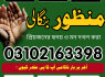 amil baba vodo magic expert kala jadu kala ilam 03102163398 bangali baba