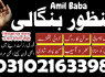 amil baba rawalpindi, 03102163398, amil baba contact number, amil baba kala jadu expert, kala ilam