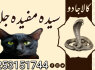 Top 1amil baba London, America, Pakistan, Amil baba peer bangali baba specialist, Man - pasand shad
