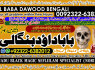 A6 Amil Baba in Australia Amil Baba in Canada Amil Baba in London Amil Baba in Germany