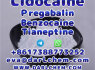 Lidocaine Tianeptine pregabalin raw Powder 137 - 58 - 6 Hot Sale (3)