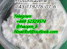 Protonitazene CAS 119276 - 01 - 6