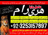 Top amil baba Australia Safli ilam walay amilbaba