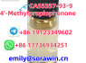CAS 5337 - 93 - 9