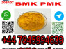 5449 - 12 - 7 BMK PMK BMK Glycidic Acid sodium salt powder oil, BPOC Acid (2)