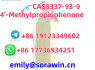 cas5337 - 93 - 9