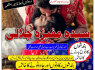 top - no2 kala jadu in karachi number 03253151744