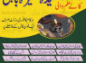 VO23 Certified kala jadu in Karachi contact number 0325315144