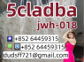 5cladba 5cladbb 5fdab protonitazene Bromazlam Eueutylone molly pmk